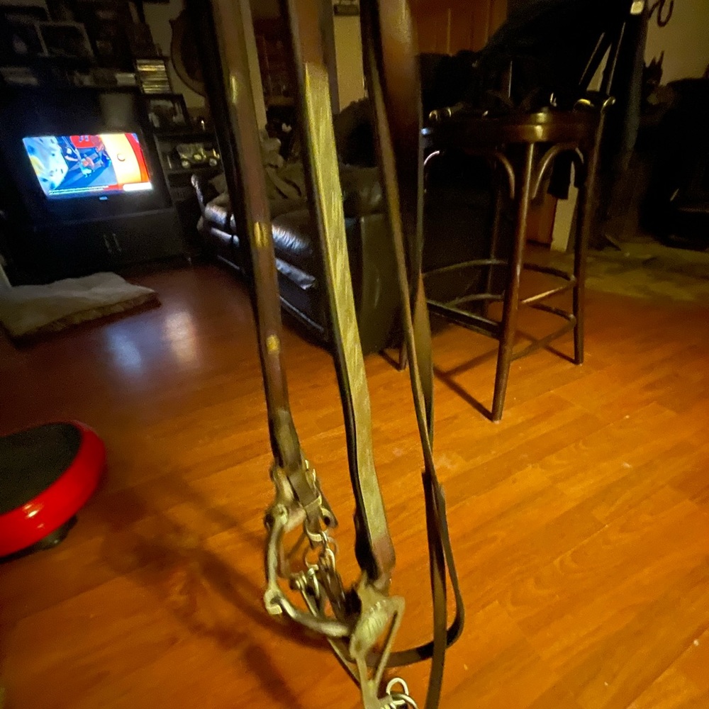 Western horse show bridle